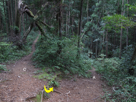 20161007hike (217)